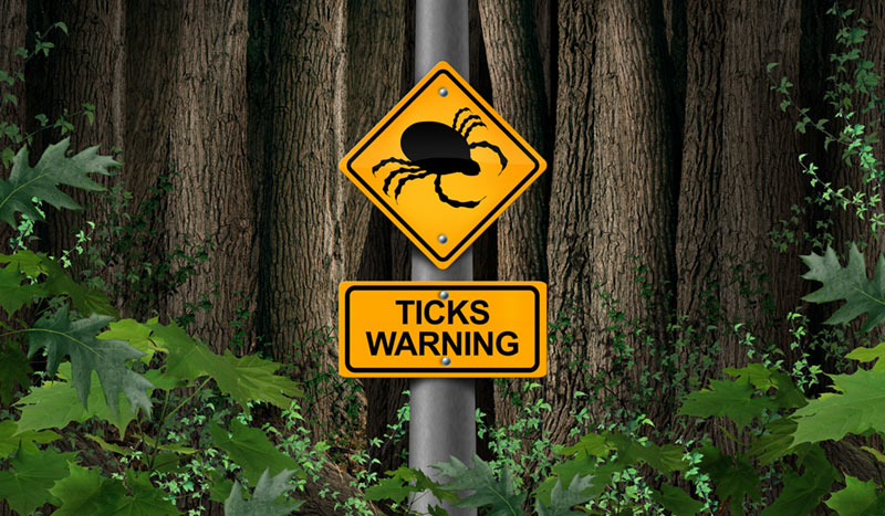 no ticks zone